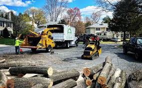 Best Lawn Mowing  in Neuse Forest, NC